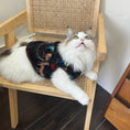 Load image into Gallery viewer, Pet fleece warm vest coat