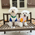 Load image into Gallery viewer, Pet reversible fleece vest