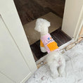 Load image into Gallery viewer, Pet reversible fleece vest