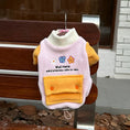 Load image into Gallery viewer, Pet reversible fleece vest