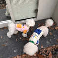 Load image into Gallery viewer, Pet reversible fleece vest