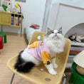 Load image into Gallery viewer, Pet reversible fleece vest