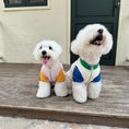 Load image into Gallery viewer, Pet reversible fleece vest