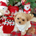 Load image into Gallery viewer, Christmas sweaters for pets