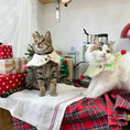 Load image into Gallery viewer, Pet Christmas bandana