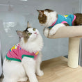 Load image into Gallery viewer, Pet birthday printed T-shirt