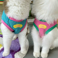 Load image into Gallery viewer, Pet birthday printed T-shirt