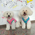 Load image into Gallery viewer, Pet birthday printed T-shirt