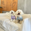 Load image into Gallery viewer, Pet brushed knit T-shirt
