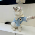 Load image into Gallery viewer, Pet brushed knit T-shirt