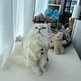 Load image into Gallery viewer, Pet brushed knit T-shirt