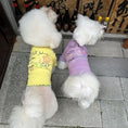 Load image into Gallery viewer, Pet embroidered knit base shirt