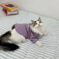 Load image into Gallery viewer, Pet embroidered knit base shirt