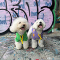 Load image into Gallery viewer, Pet fleece printed hoodie