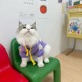 Load image into Gallery viewer, Pet fleece printed hoodie