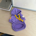 Load image into Gallery viewer, Pet fleece printed hoodie