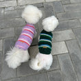 Load image into Gallery viewer, Pet striped sweater