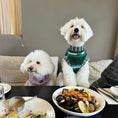 Load image into Gallery viewer, Pet striped sweater