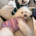 Load image into Gallery viewer, Pet striped sweater