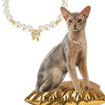 Load image into Gallery viewer, Bowknot-Pet Pearl Necklace Collar - WizzPaw