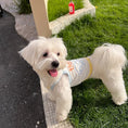Load image into Gallery viewer, Breathable Pet Strap Vest - WizzPaw