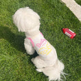 Load image into Gallery viewer, Breathable Pet Strap Vest - WizzPaw