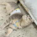 Load image into Gallery viewer, Breathable Pet Strap Vest - WizzPaw