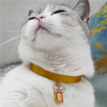 Load image into Gallery viewer, Chinese-style pet collar-Prosperity lion - WizzPaw