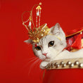 Load image into Gallery viewer, Chinese-style Pet Phoenix Crown - WizzPaw
