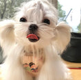 Load image into Gallery viewer, Chinese-Style Pet Vest with Hanfu Elements - WizzPaw