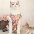 Load image into Gallery viewer, Chinese-Style Thickened Pet Tang Suit - WizzPaw