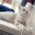 Load image into Gallery viewer, Collared Pet Cardigan - WizzPaw