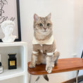 Load image into Gallery viewer, Collared Pet Cardigan - WizzPaw
