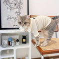 Load image into Gallery viewer, Collared Pet Cardigan - WizzPaw