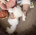 Load image into Gallery viewer, Collared Pet Cardigan - WizzPaw