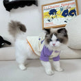 Load image into Gallery viewer, Color Block Pet T-Shirt - WizzPaw
