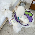 Load image into Gallery viewer, Color Block Pet T-Shirt - WizzPaw