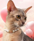Load image into Gallery viewer, Confession Balloon-Pet Pearl Necklace Collar - WizzPaw