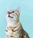 Load image into Gallery viewer, Confession Balloon-Pet Pearl Necklace Collar - WizzPaw