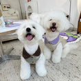 Load image into Gallery viewer, Denim Plush Pet Coat - WizzPaw