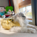 Load image into Gallery viewer, Eco Faux Fur Embroidered Pet Vest - WizzPaw