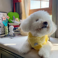 Load image into Gallery viewer, Eco Faux Fur Embroidered Pet Vest - WizzPaw