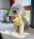 Load image into Gallery viewer, Eco Faux Fur Embroidered Pet Vest - WizzPaw