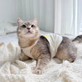 Load image into Gallery viewer, Embroidered Pet Halter Top - WizzPaw