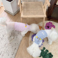 Load image into Gallery viewer, Embroidered Pet Halter Top - WizzPaw