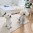 Load image into Gallery viewer, Embroidered Pet Halter Top - WizzPaw