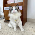 Load image into Gallery viewer, Embroidered Plush Pet Vest - WizzPaw