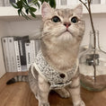 Load image into Gallery viewer, Floral Pet Vest - WizzPaw