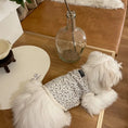 Load image into Gallery viewer, Floral Pet Vest - WizzPaw
