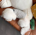 Load image into Gallery viewer, Floral Pet Vest - WizzPaw